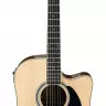 Ibanez PF15ECE NT