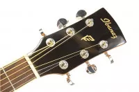 Ibanez PF15ECE NT