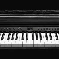 Kurzweil CUP E1 BK