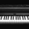 Kurzweil CUP E1 BK