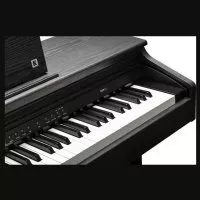 Kurzweil CUP E1 BK