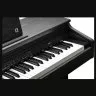 Kurzweil CUP E1 BK