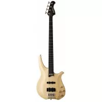 Washburn CB14 MK