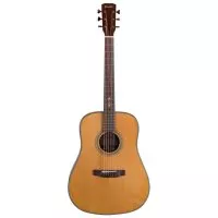 Prima DSAG219 Acoustic Guitar
