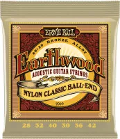 Ernie Ball P02069