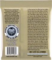 Ernie Ball P02069