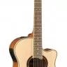Yamaha APX700 II NAT