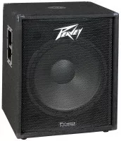 Peavey PV118D