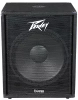 Peavey PV118D
