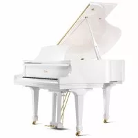 Essex EGP-155C