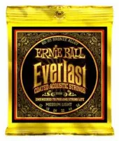 Ernie Ball P02556 Medium Light