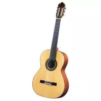 Antonio Sanchez S-1023 Cedar