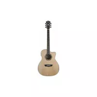 Washburn AG70CE