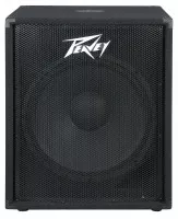Peavey PV118