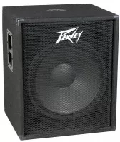 Peavey PV118