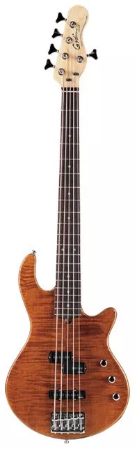 Godin FREEWAY 5 BASS Natural Flame SG with Bag