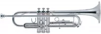 J. Michael TR300SA (S)