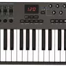 Nektar Impact LX49+