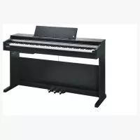 Kurzweil CUP M1 BK