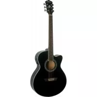 Washburn EA12 B