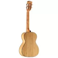 Alvarez MU55TE