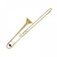 Maxtone TTC53TL3