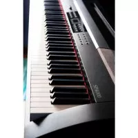 Medeli SP4000