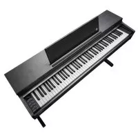 Kurzweil CUP M1 SR