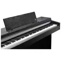 Kurzweil CUP M1 SR