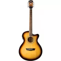 Washburn EA15ATB