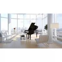 Steinway &amp; Sons A-188