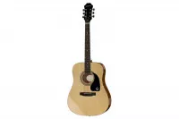 Epiphone DR-100 NT