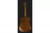 Epiphone DR-100 NT