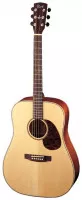 Cort Earth100F NS
