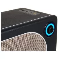 Mooer Hornet 15i Black
