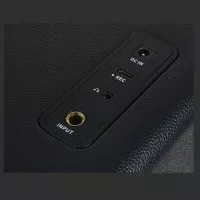 Mooer Hornet 15i Black