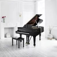 Steinway &amp; Sons B-211