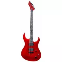 Washburn WM24PRO EMRK