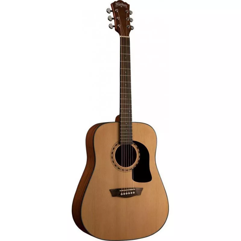 Washburn AD5 Washburn AD5
