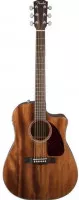 Ibanez AW54CE OPN