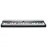Kurzweil KA-P1 DB