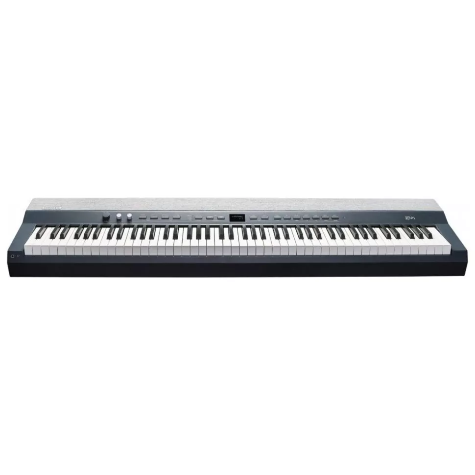 Kurzweil KA-P1 DB