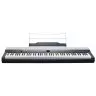 Kurzweil KA-P1 DB