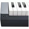 Kurzweil KA-P1 DB