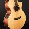 Cort NDX Baritone NS