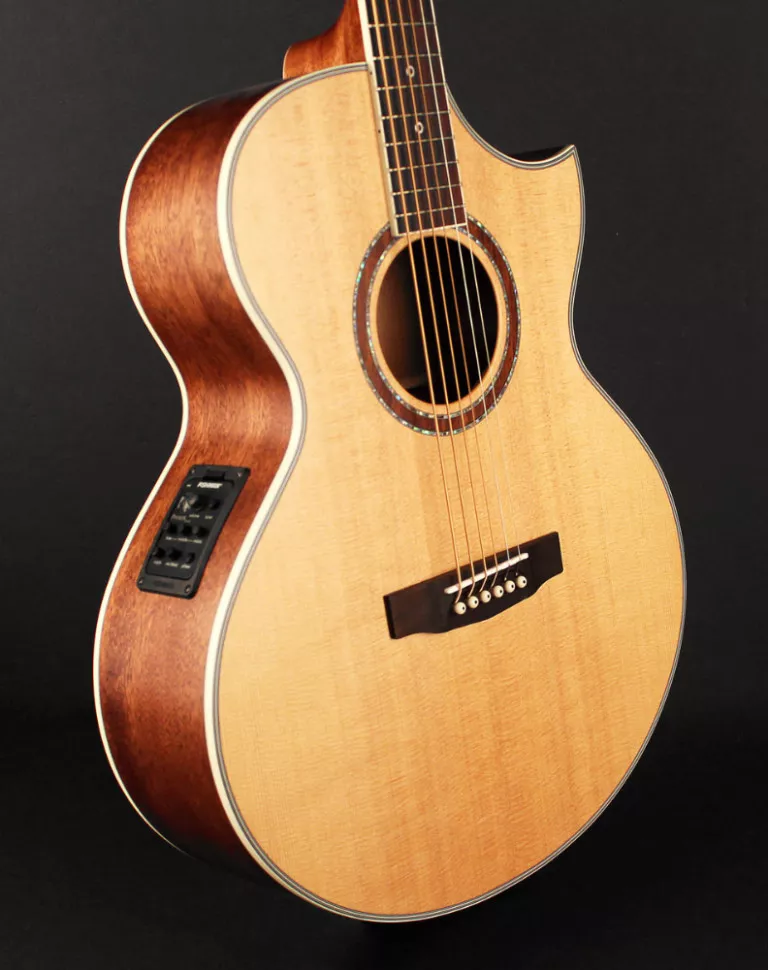 Cort NDX Baritone NS