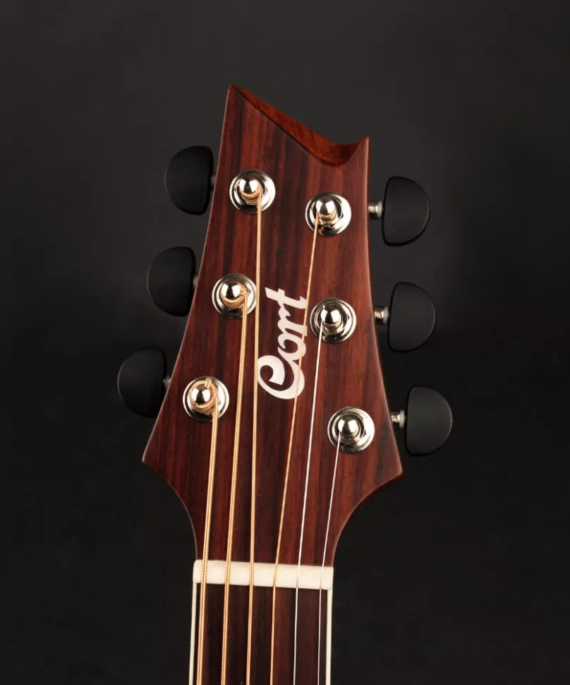 Cort NDX Baritone NS