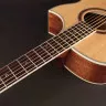 Cort NDX Baritone NS