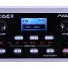 Mooer PE100