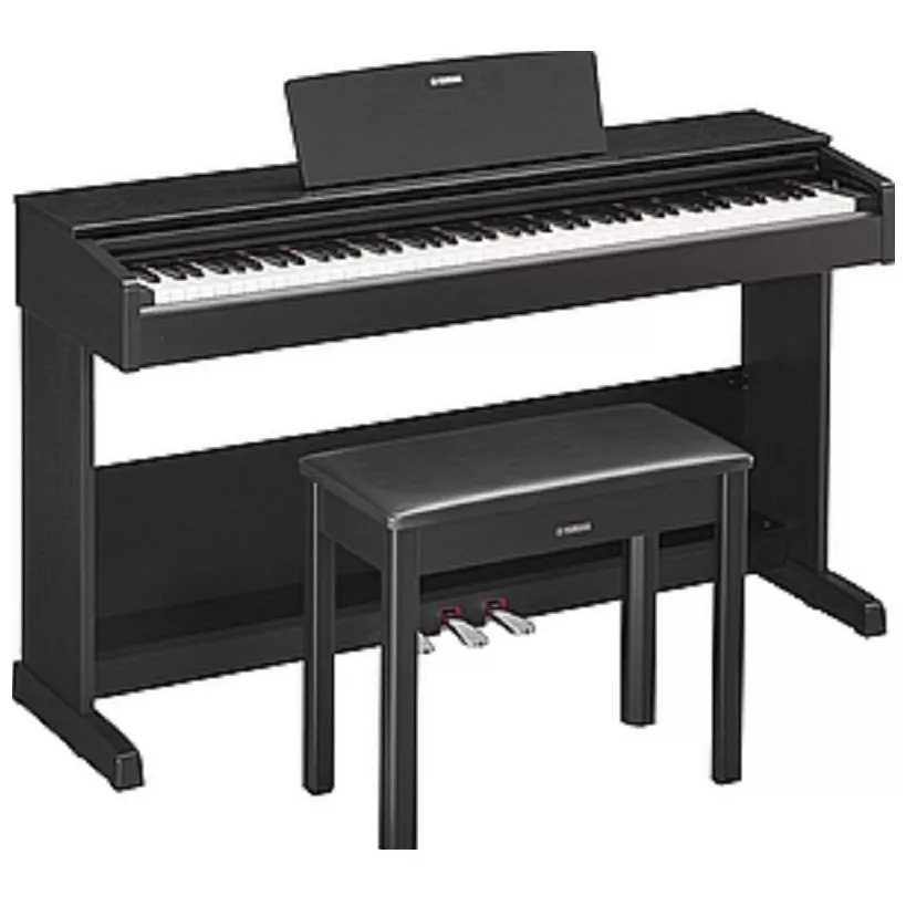 Pearl River V03 BK+Bench